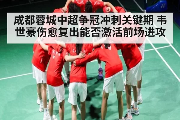 成都蓉城中超争冠冲刺关键期 韦世豪伤愈复出能否激活前场进攻 | DOTA2